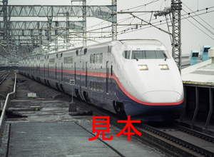 鉄道写真、645ネガデータ、154981520002、新幹線E1系（M2編成）、JR大宮駅、2008.07.24、（4423×3239）