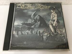 *0F060 Windows 95 Vantage Master vantage * master 0*