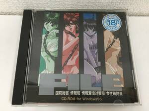 ●○F164 Windows 95 FILE 国防総省情報局情報漏洩対策部 メイビーソフト○●