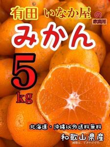 早い者勝ち！人気の　みかん5kg お得　みかん　お買い得　mix セール　家庭用　b品 柑橘　フルーツ　温州　和歌山　果物　高騰中　①点、