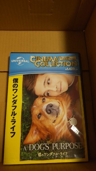 新品 ＤＶＤ 僕のワンダフル・ライフ