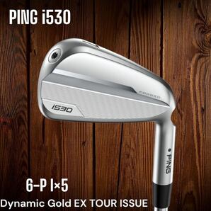 PING ピン i530 アイアン 6-P 5本セット Dynamic Gold EX TOUR ISSUE