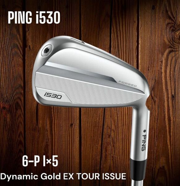 PING ピン i530 アイアン 6-P 5本セット Dynamic Gold EX TOUR ISSUE