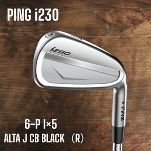 PING ピン i230 アイアン 6-P 5本セット ALTA J CB BLACK R