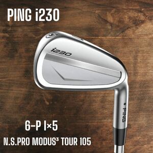 PING ピン i230 アイアン 6-P 5本セット N.S.PRO MODUS3 TOUR 105