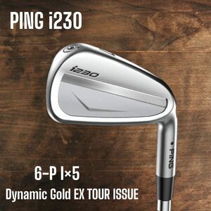 PING ピン i230 アイアン 6-P 5本セット Dynamic Gold EX TOUR ISSUE