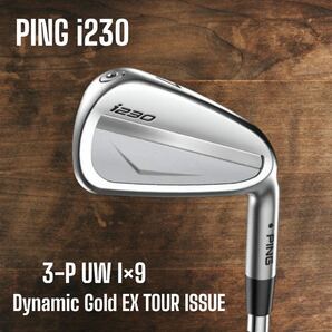 PING ピン i230 アイアン 3-P UW 9本セット Dynamic Gold EX TOUR ISSUE