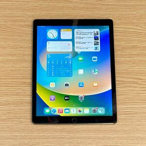 【 1円スタート！極美品 】iPad Pro アイパッドプロ 第1世代 128GB Wi-Fi + Cellular 本体 SIMフリー 初期化済 ML2I2J/A A1652 判定○