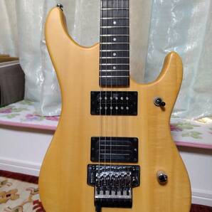 Washburn N2 EVH D-TUNA 状態良好の画像1