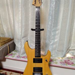 Washburn N2 EVH D-TUNA 状態良好の画像9