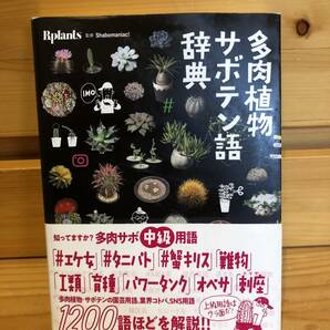 ※送料込※「多肉植物サボテン語辞典　Bplants　主婦の友社」古本