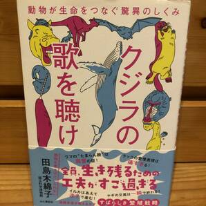 ※送料込※「クジラの歌を聴け　田島木綿子　山と渓谷社」古本