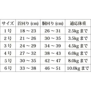 小型犬  ワールド商事 フェリーク アウトドア リボンハーネス  ブルー 4号 ～6キロ  シーズー等の画像5