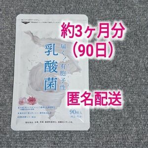 シードコムス 有胞子性 乳酸菌ソフトカプセル約3ヶ月分（90粒）