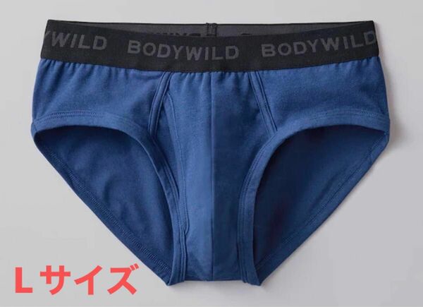 BODYWILD メンズブリーフLサイズ2点