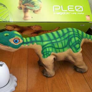 【希少 稼働! PLEO 恐竜 ロボット 新品バッテリー付き 皮膚裂け無し プレオ AIBO好きにも UGOBE BDL ①】の画像8