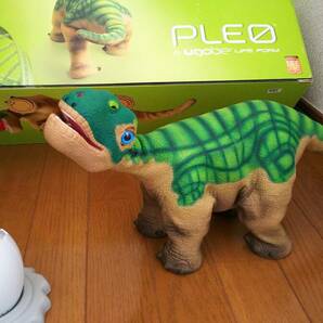 【希少 稼働! PLEO 恐竜 ロボット 新品バッテリー付き 皮膚裂け無し プレオ AIBO好きにも UGOBE BDL ①】の画像9