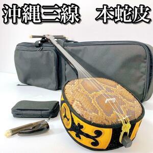 A105 [Snake Skin/Beautiful Goods] Okinawa Sanshin Shamis Line Snake -Capera Battery Snake Snake Case с когтями саншин полу -хард чехол Бесплатная доставка