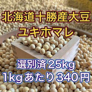 大人気 北海道産 大豆 25kg 匿名配送 自家製 味噌 納豆 豆腐 豆乳