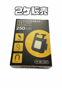 ◆品薄状態◆ DAISO 充電式COBライト　250ルーメン　2個セット