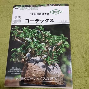 多肉植物コーデックス （ＮＨＫ趣味の園芸　１２か月栽培ナビＮＥＯ） 長田研／著