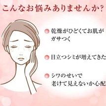 肌ラボ 極潤 薬用 ハリ 乳液 ロート製薬 ROHTO 美容 高保湿 エイジングケア シワ改善 シミ対策 つめかえ用 140ｍＬ 2点セット_画像3