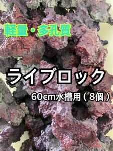 ★期間限定セール★【60cm水槽用】【送料無料】多孔質・軽量ライブロック 8個入り（海水魚、サンゴ、バクテリア、背景、レイアウト）