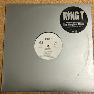 KING T / Str8-Gone / Dr.Dre / LP レコード