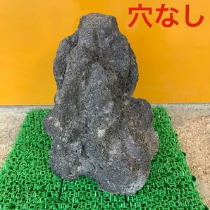 ADA 雲山石 Mサイズ 穴なし【希少？】