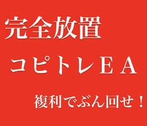 !!完全放置で月利15〜30%!! カスタマイズ可能 EA 自動売買 コピートレード FX 厳選エントリー_画像1