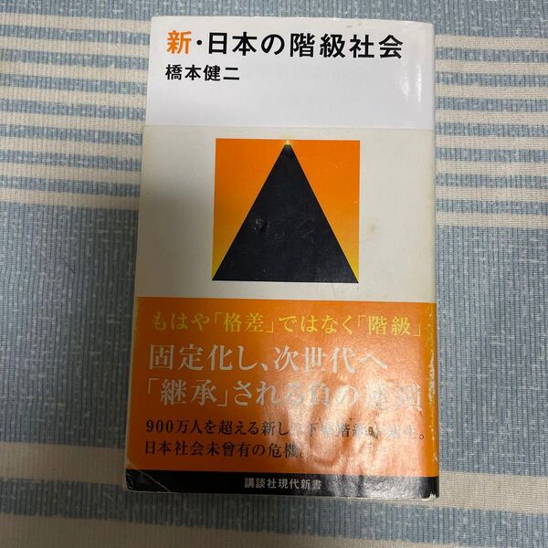 新・日本の階級社会 （講談社現代新書　２４６１） 橋本健二／著