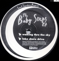 Theo Parrish The Baby Steps EP/ELV-001,レコード, 12インチ 中古盤/Deep House,Detroit_画像2