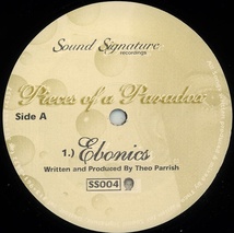 Theo Parrish Pieces Of A Paradox/SS004,レコード, 12インチ 中古盤/Deep House,Detroit_画像1