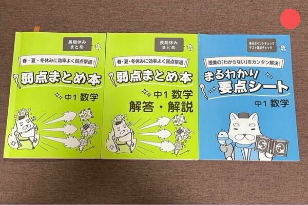 中1 数学 メイトホームスタディ 家庭教師 あすなろ 教材