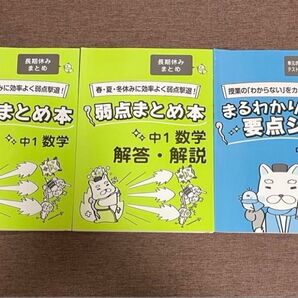 中1 数学 メイトホームスタディ 家庭教師 あすなろ 教材