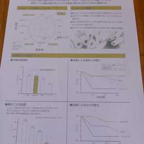 増量 ホテル仕様 羽毛を越えた 掛け布団＆シビラカバー付 ペアセット 清潔 安心 日本製(羽毛布団 敷布団 こたつ布団 枕)等出品中です。の画像8