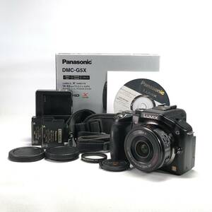 Panasonic LUMIX DMC-G5X + G X VARIO PZ 14-42mm F3.5-5.6 パナソニック ルミックス ミラーレス カメラ 動作OK 並品 24C ヱOA4c