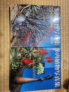  succulent plant photoalbum the first volume, second volume set 