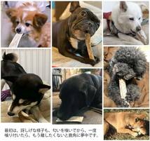 鹿の角 犬 おもちゃ 無添加 おやつ エゾジカ 国産 鹿 角 ガム デンタルケア 大型犬 20cm_画像5