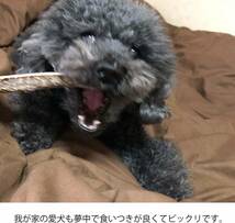 鹿の角 犬 おもちゃ 無添加 おやつ エゾジカ 国産 鹿 角 ガム デンタルケア 大型犬 20cm_画像4