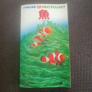 小学館の図鑑　NEO POCKET 魚