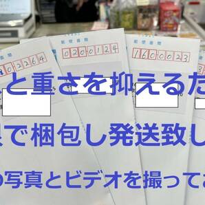 送料込み 2本 温度ヒューズ 172度 15A 250V ペレット型 サーマルヒューズ 回路遮断 ミニワンタイム アルミヒューズ メタルリード 2個入りの画像3