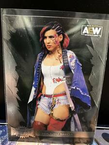 AEW2022 skybox 志田光　HIKARU SHIDA AEWカード　WWE プロレスカード　panini topps 女子プロレス