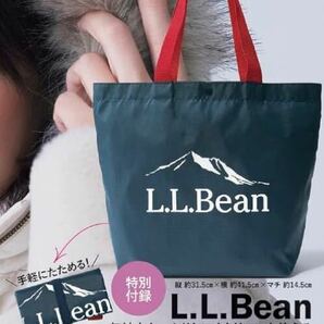 ○雑誌付録 L.L.Bean アウトドアにも使える たためるBIGショルダートート ×2点の画像2