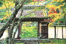 752 イラン 絨毯 絵画 苔寺 西芳寺●定価１００万円以上 額装 ペルシャ絨毯 手織り シルク アート 洋間 美術_画像3