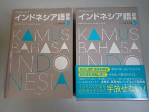 J9D☆ インドネシア語 辞典 プログレッシブ 小学館 2018年初版発行 単語