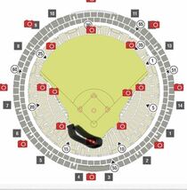 4月3日　1枚　スペシャルAシート　1〜3列　阪神タイガース　_画像2