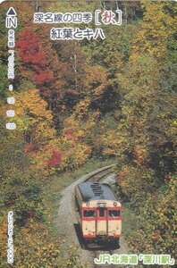 深名線の四季秋紅葉とキハ　JR北海道深川駅オレンジカード