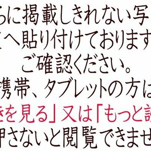 使用僅か！22年製 ホシザキ星崎 リーチイン 冷凍ショーケース 照明 ガラス扉 三相200V フリーザー庫 USF-120A3 厨房店舗業務用 1200×800-dの画像10