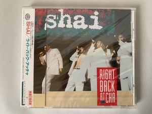 未開封/見本品 SHAI シャイ RIGHT BACK AT CHA ライト・バック・アッチャ